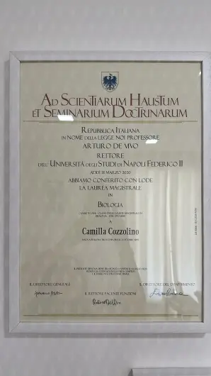 Certificazione 2