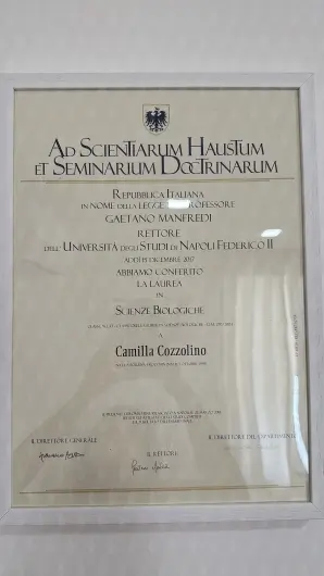 Certificazione 1