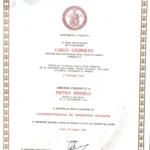 Specializzazione-spinelli_Pagina_1