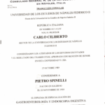 Specializzazione spinelli_Pagina_2