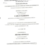 Specializzazione-spinelli_Pagina_2